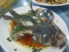 清蒸石斑鱼-明记海鲜大排档(巽寮湾店)
