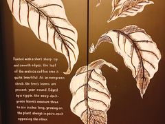 -星巴克(红房子店)