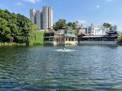 -荔湾湖公园