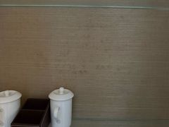 -河源万绿湖美思威尔顿酒店