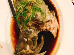 清蒸石斑鱼-泰华海鲜中餐厅(普吉镇店)