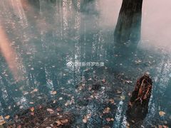 -东湖落雁景区