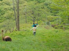 -1886德国汽车餐厅(外滩中央店)