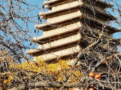 -北京石刻艺术博物馆(五塔寺)
