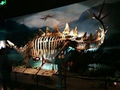 -甘肃地质博物馆