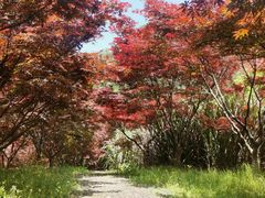 -五泄景区