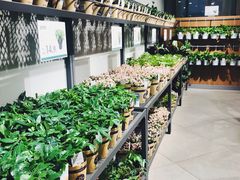 -鹿岛会员店 (龙湖三千集天街店)