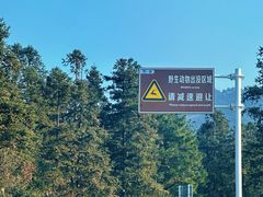-浙西天池景区