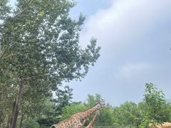 -大连森林动物园