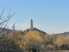 -北坞公园