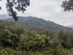 -波尔登森林公园