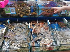 水产区-三亚新鸿港水果一级批发市场