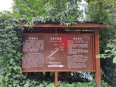 -黔灵山公园