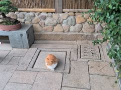 -龙华寺