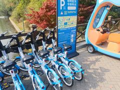 -上海海湾国家森林公园