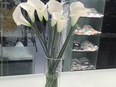 -福奈特洗衣洗鞋(海阳路店)