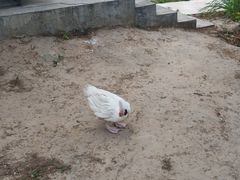 -太阳宫公园