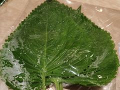 紫苏叶-新石器烤肉(高行万嘉店)