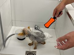 -comecome来吧宠物(奥克斯中心店)