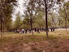 -亲兄弟真人CS团建拓展基地