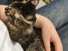 -平行世界·猫咖(首经贸店)