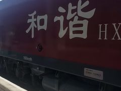 -岳阳站