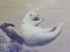 -台州海洋世界