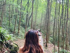 -凤栖山