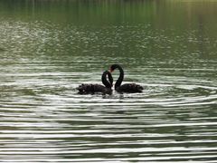 -三岔湖环球融创天堂洲际酒店水乐园