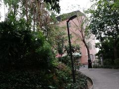 -南岗山公园