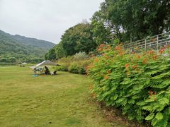 -风云岭森林公园