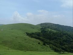 -大姆山草场
