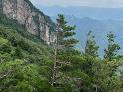 -牛背梁国家森林公园