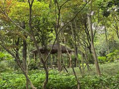 -上海吴淞炮台湾国家湿地公园