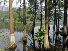-重庆彩云湖湿地公园