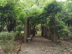 -共青国家森林公园-售票处