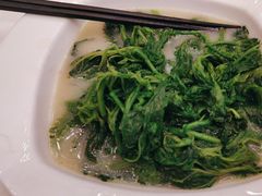 -五谷芳乳鸽王(海景店)