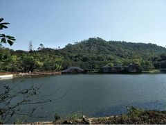 -大雁山风景区