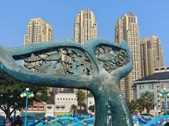 -海合安成都极地海洋公园