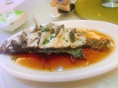大富大贵蒸桂鱼-好福记饭店(红梅公园店)