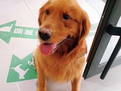 -爱侣宠医·鹦鹉专科·小型哺乳类·异宠专科(灵石路店)