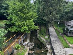 -白水寺森林公园