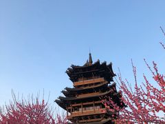 -杭州半山国家森林公园