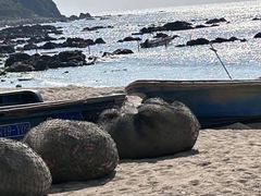 -西涌国际滨海旅游区