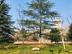 -南京航空航天大学(将军路校区)