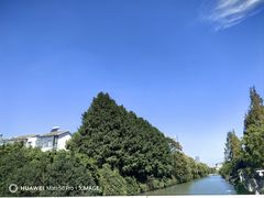 -金鸡湖桃花岛