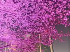 -西北湖绿化广场