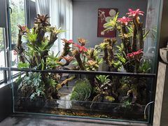 -扶摇湘宴·烤鸭·湘粤宴(中关村·北大店)