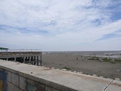 -奉贤海滩