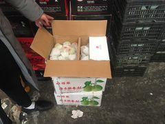 -西郊国际农产品交易中心